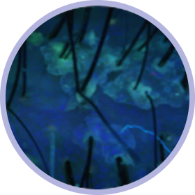 parameter background