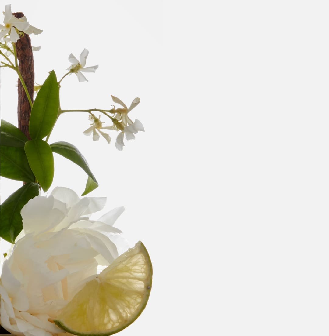 Fragrance