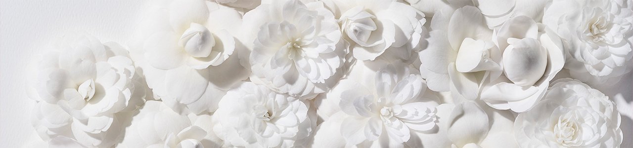 10-Reasons-To-Love-Elixir-Ultime-Elixir-Ultime-Article-Hero-Banner-Kerastase