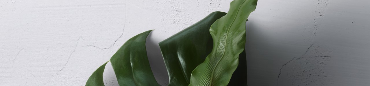 Airdry Vs Blowdry Article Hero Banner Kérastase