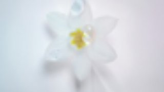 Extreme-Care-For-The-Boldest-Blondes-Blond-Absolu-Article-02-Kerastase