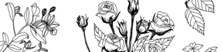 Olfactory-Article-Hero-banner-Kerastase
