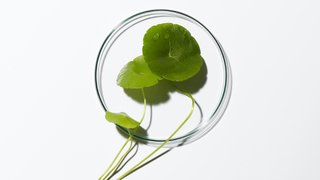 sourced-ingredients