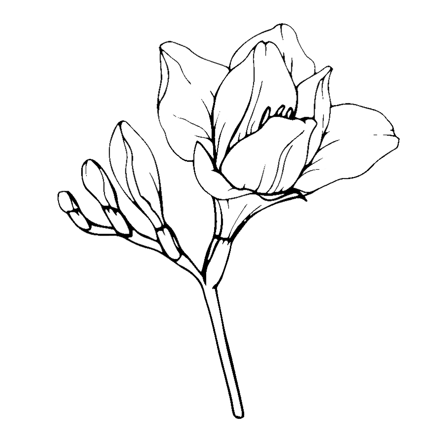 Top Notes Icon