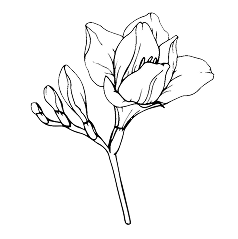 Top Notes Icon