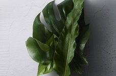 Mega Menu Finest Ingredients On Earth 2 Kerastase