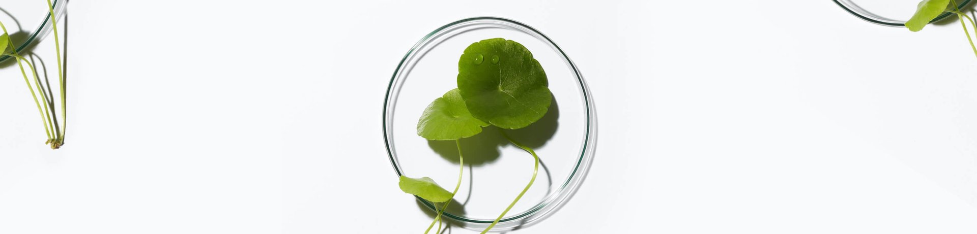 WE ARE COMMITTED TO PRODUCING SUSTAINABLY