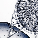 KER_chronologiste_bainregenerantshampoo_keyingredient1