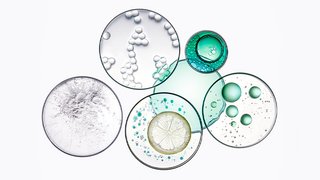 Article GreasyScalp Kerastase 05