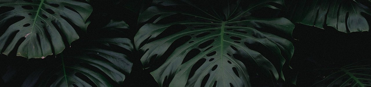 Hero banner Illustration for Aura Botanica Article Kerastase